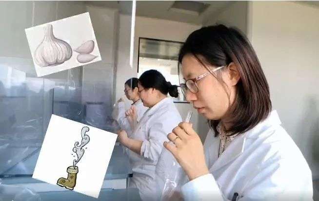 这些“奇葩”职业年入几十万，打工人快来了解下