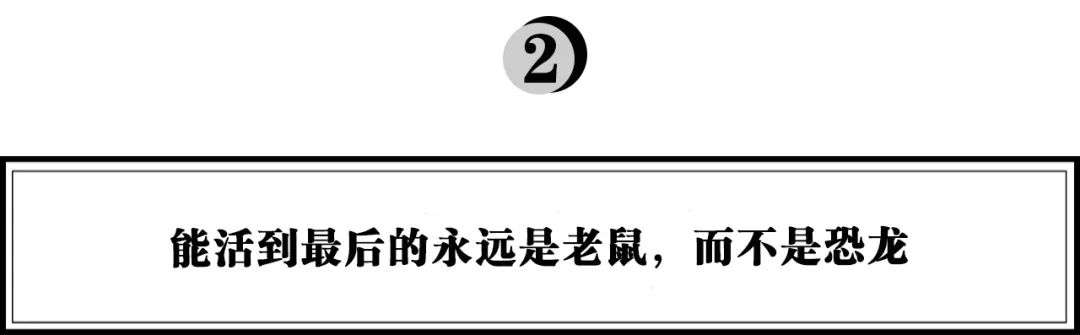 从流量入口到心智入口，红杉资本苏凯：话梅、泡泡玛特、文和友……超大客流背后的共性是什么？