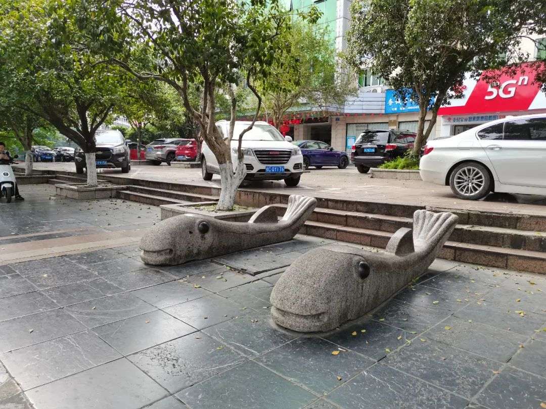 嘉兴红色旅游gdp_嘉兴红色旅游背景图片(2)