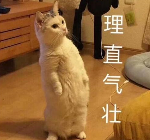 蒙牛“可牛了”，伊利你慌不慌？