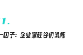 芯片圈的“澜起公式”