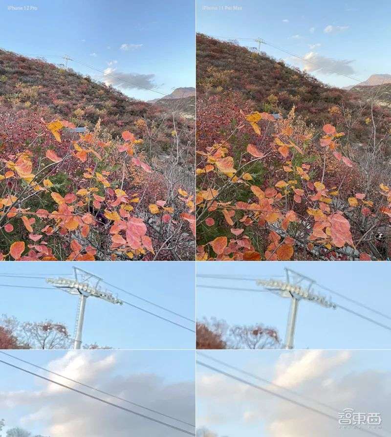 苹果手机拍照要秒单反？一周深度体验iPhone 12 Pro