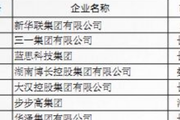 2020湖南省民营企业100强正式发布