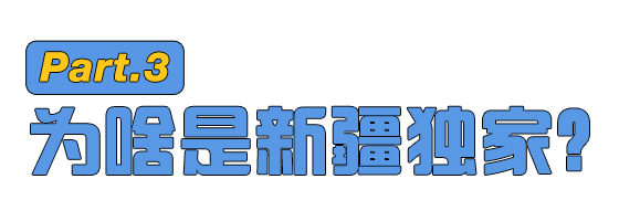 新疆人救了胡萝卜汁