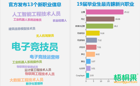 过气网红去哪里？