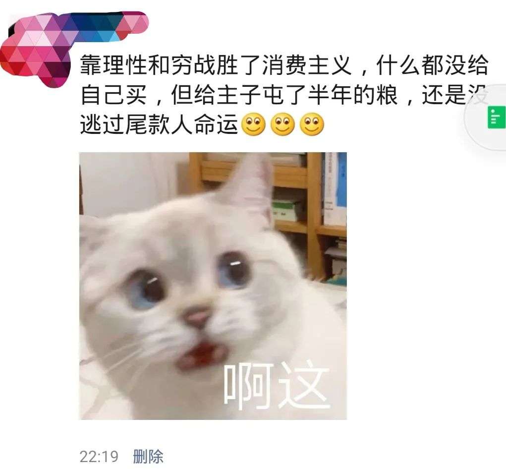 双11宠物市场悖论：厂商突围，电商败退