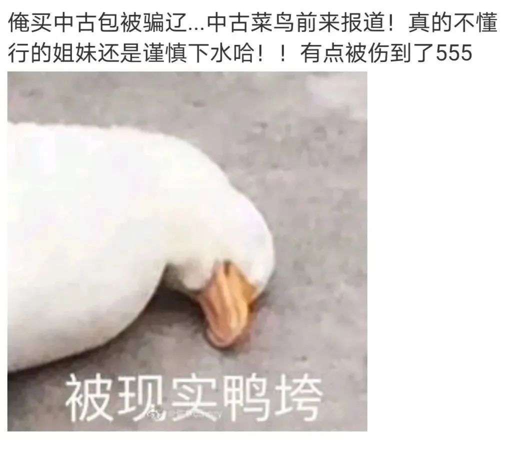 为什么当红女明星爱用二手包？