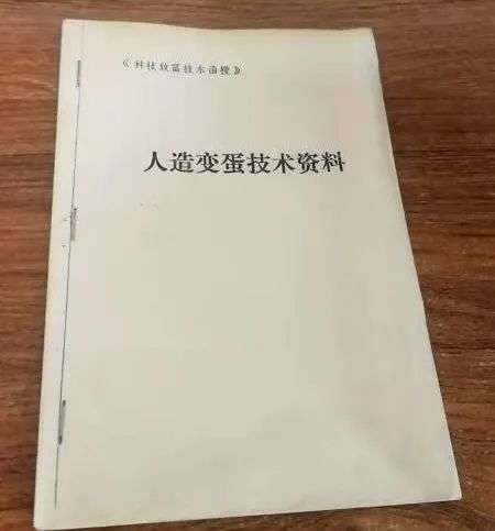 年轻人，你对“马学”的真正底蕴可能一无所知