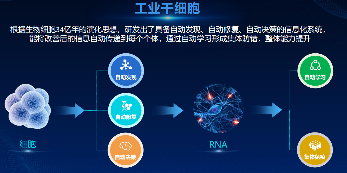 龚量亮：一个“制造二代”的挣扎与突围