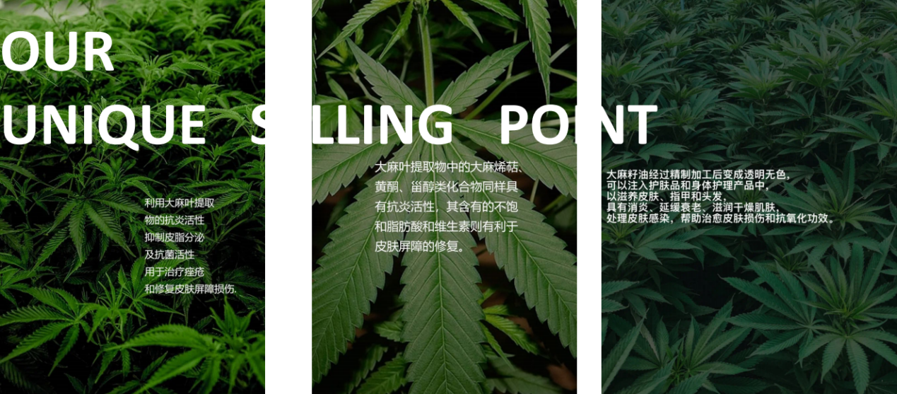 6大概念新锐 他们都在这么讲香氛洗护 Cbd护肤的故事 591资讯