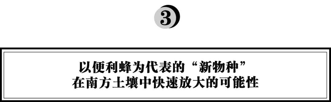 深圳，为什么是便利店的一片“绿洲”？