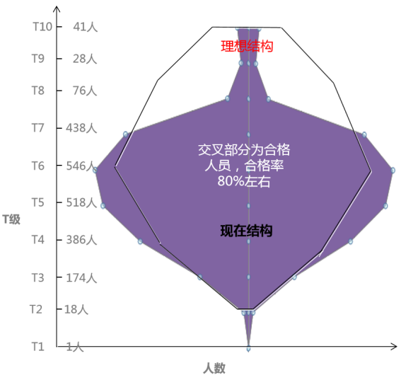 组织的成败，取决于团队