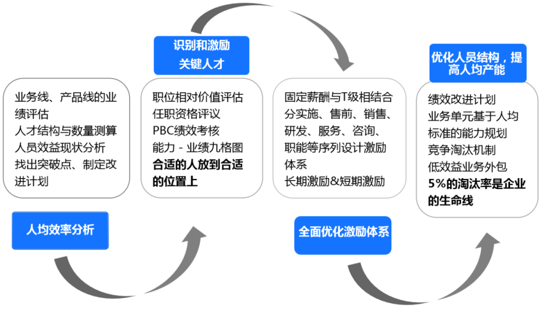 组织的成败，取决于团队