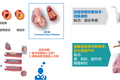 深钻计算冠脉功能学细分领域，「博动医学」完成数亿元B轮融资