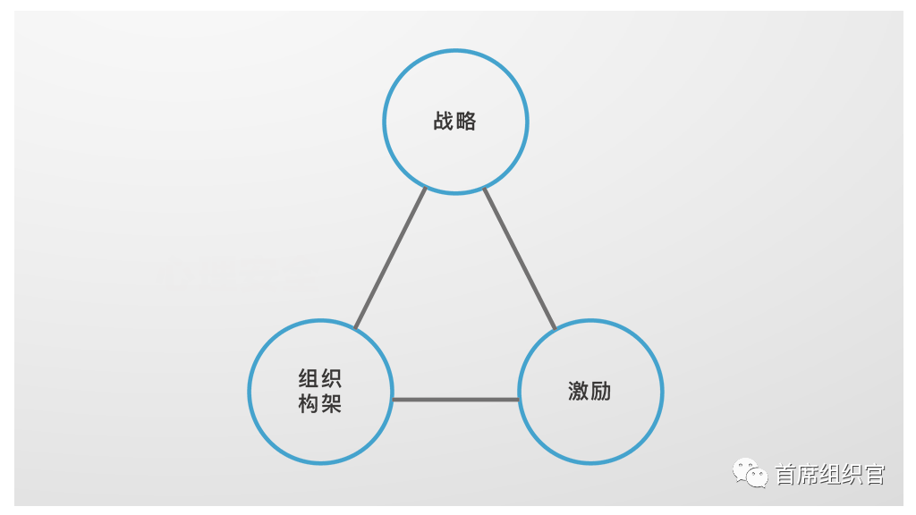 什么是“组织”？一个模型帮你回答丨未来组织