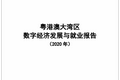 中国信通院广州分院发布《粤港澳大湾区数字经济发展与就业报告（2020年）》