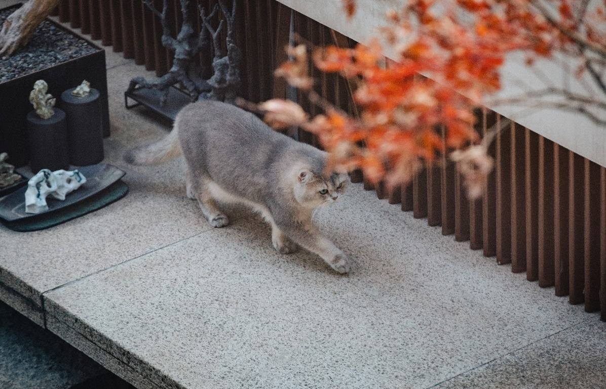 另一面大家