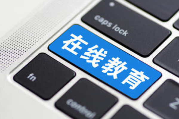 “黑天鹅”催化在线教育洗牌，牌桌上的小体量机构如何求存？