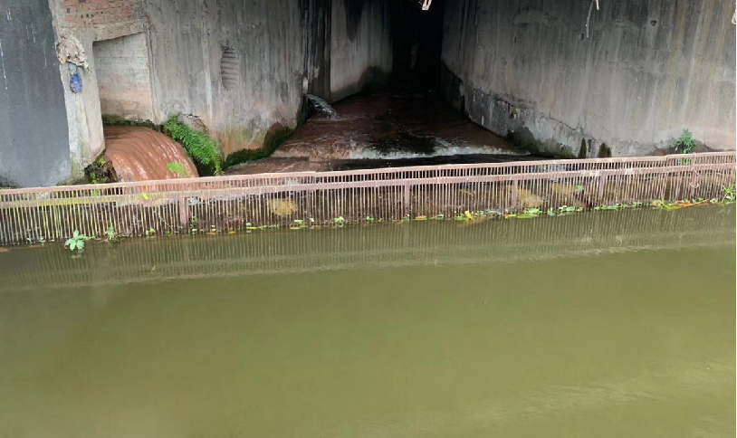 科学治理，吴家湾水库“臭水沟”变“风景区”