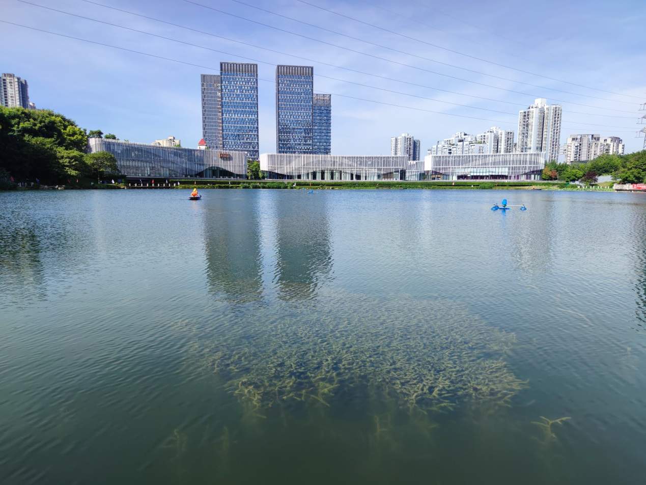 科学治理，吴家湾水库“臭水沟”变“风景区”