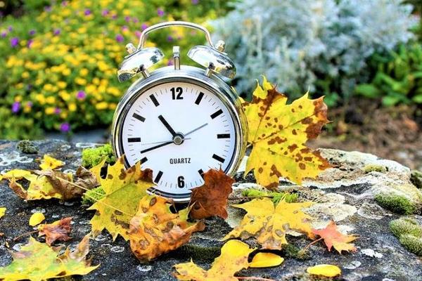 微信又来「地震式」改版？这次真有人要“凉”了……