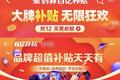 「百亿补贴」一年多，巨头烧出一个新IP