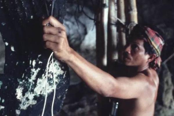 燕窝的泡沫，不是不破，是买卖双方都不愿破