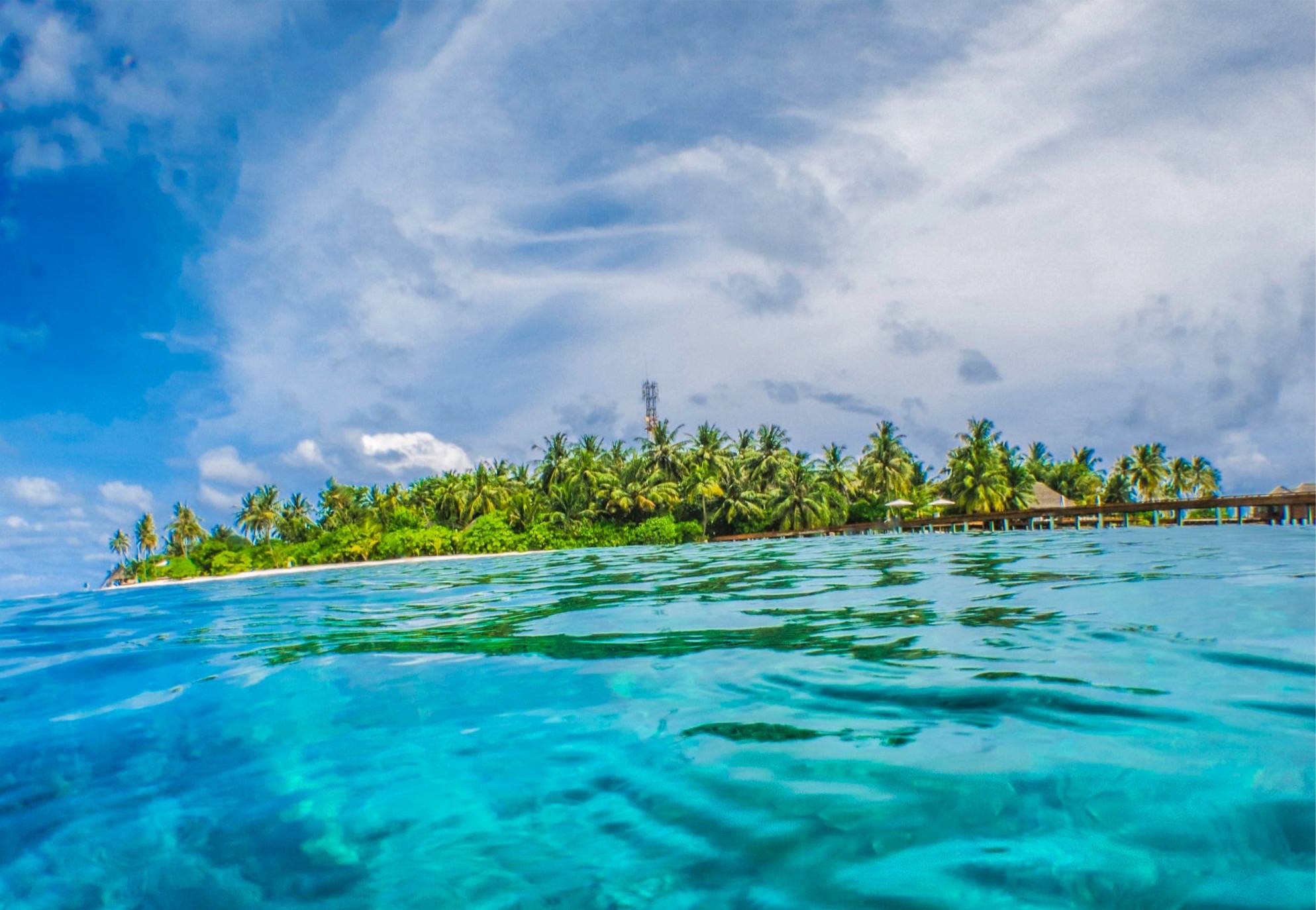 中国企业全球化周报丨蚂蚁集团 绿地金融 Minipo 获新加坡批发数字银行牌照 小米21年在日本将技术人员增至两倍 详细解读 最新资讯 热点事件 36氪