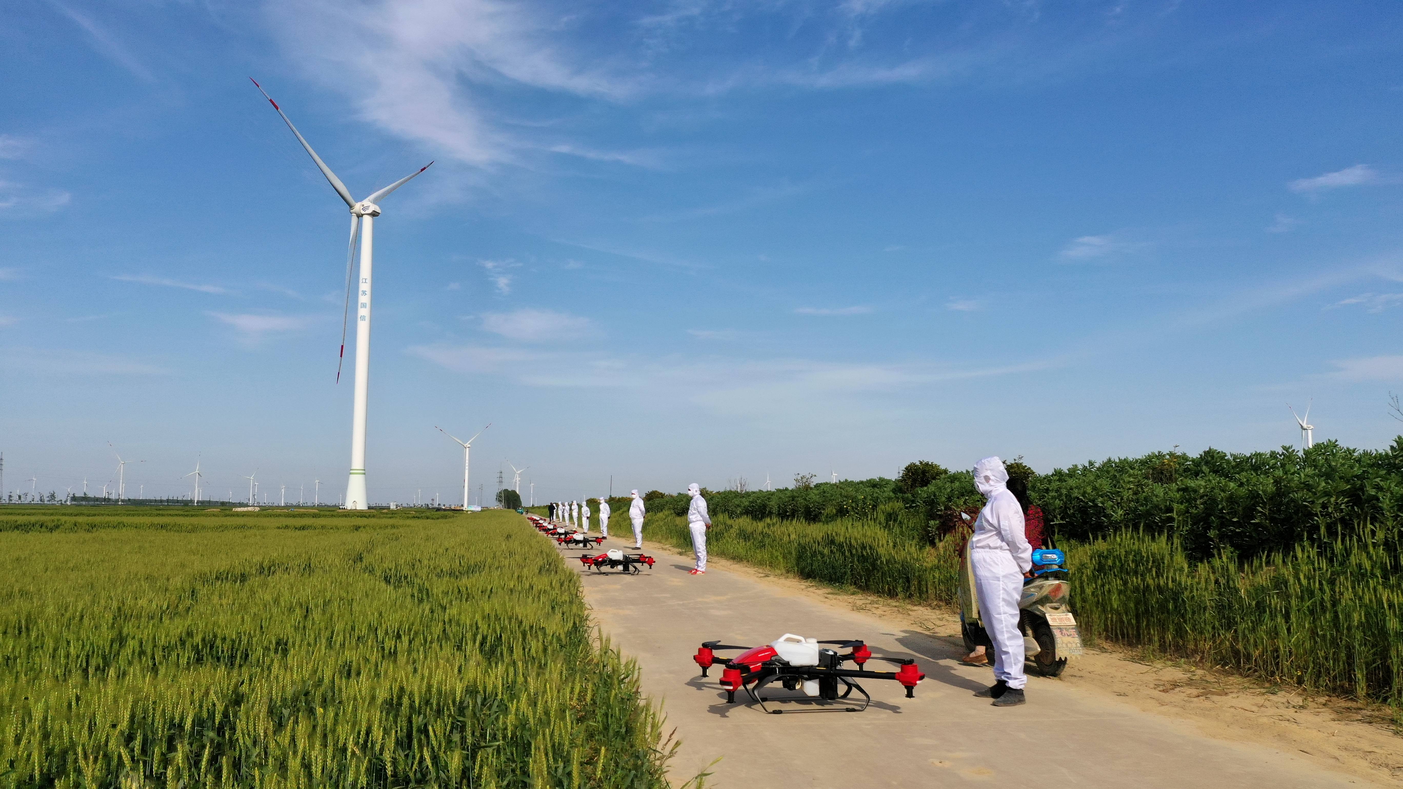 当极飞遇上江苏稻麦田农业科技智能化如何照进现实未来大脑