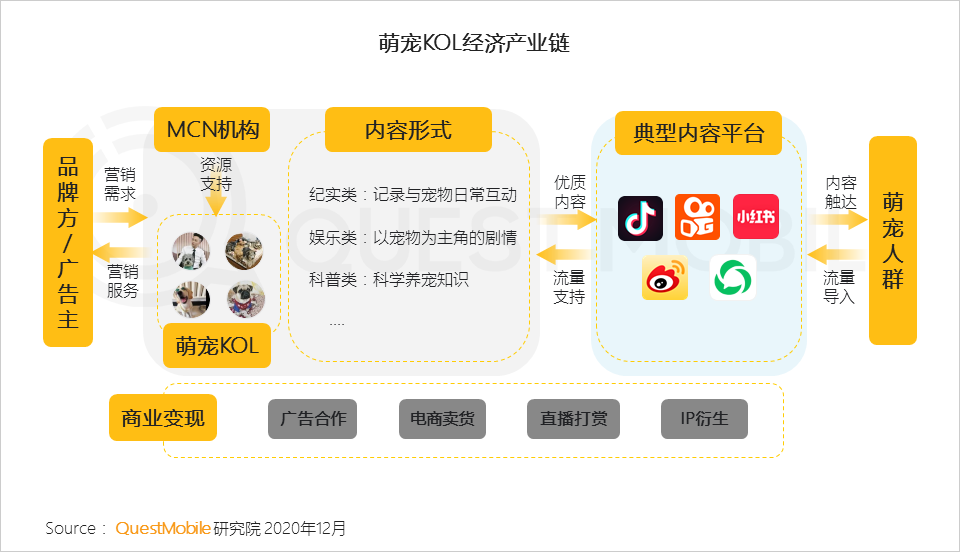 2020萌宠经济洞察报告：萌宠群体超5.3亿，喵星人VS汪星人，谁更能带货、拉消费？