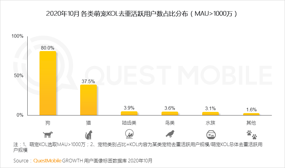 2020萌宠经济洞察报告：萌宠群体超5.3亿，喵星人VS汪星人，谁更能带货、拉消费？