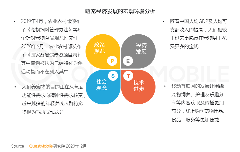 2020萌宠经济洞察报告：萌宠群体超5.3亿，喵星人VS汪星人，谁更能带货、拉消费？