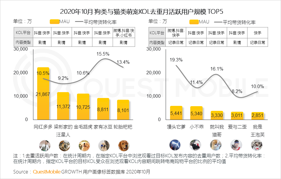 2020萌宠经济洞察报告：萌宠群体超5.3亿，喵星人VS汪星人，谁更能带货、拉消费？