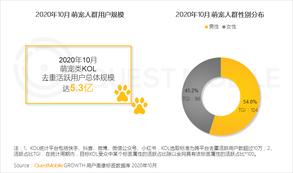 2020萌宠经济洞察报告：萌宠群体超5.3亿，喵星人VS汪星人，谁更能带货、拉消费？