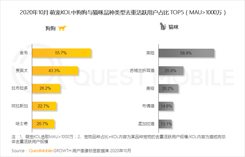 2020萌宠经济洞察报告：萌宠群体超5.3亿，喵星人VS汪星人，谁更能带货、拉消费？