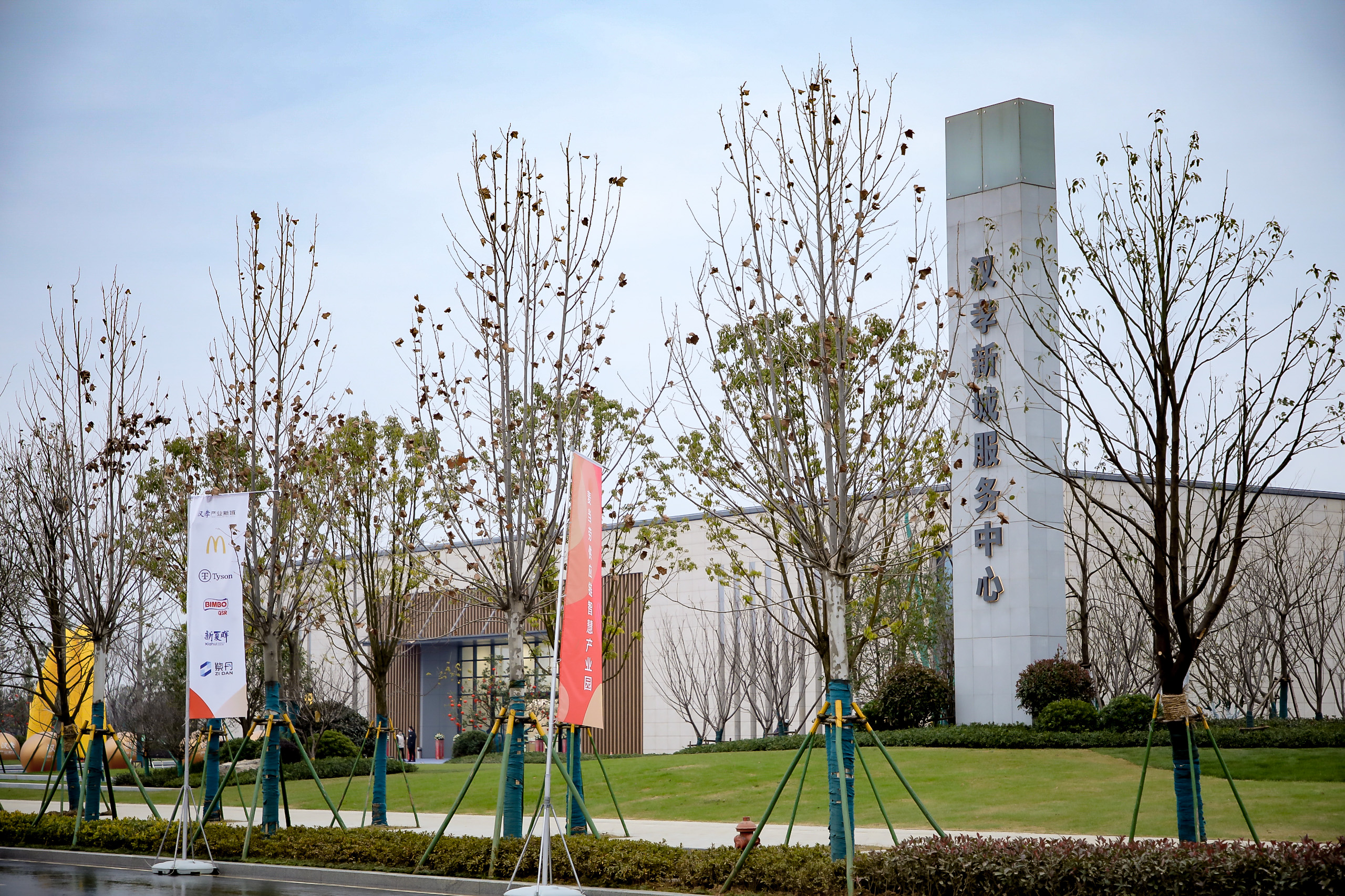 3家世界500强联袂入驻！华夏幸福为湖北导入麦当劳供应链智慧产业园