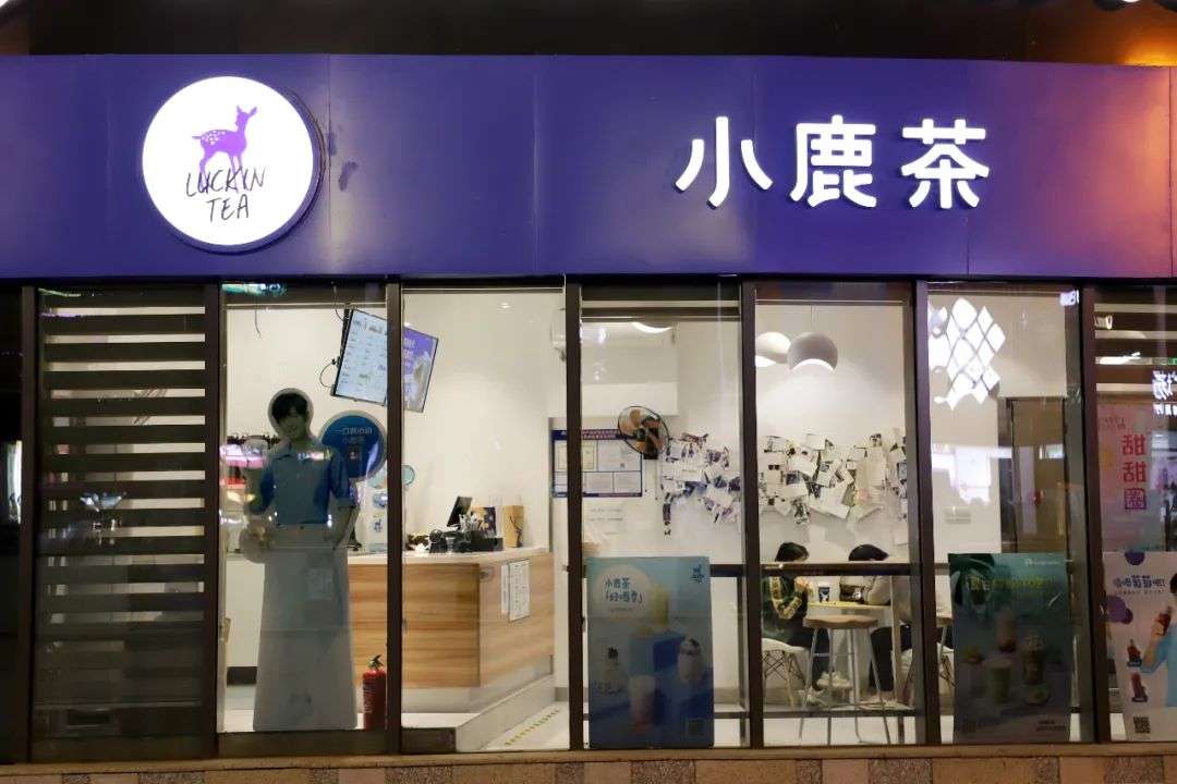 小鹿茶全国门店图片