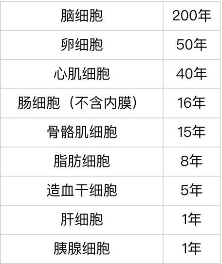 多数人体细胞的寿命平均只有数年;而人之所以能活数十年,是因为旧细胞
