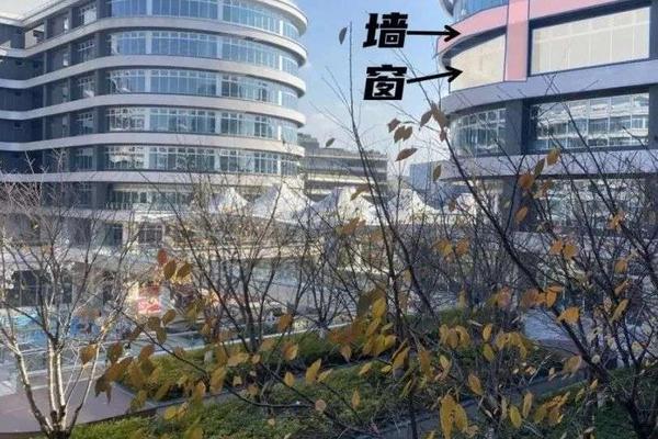 买房为什么不能忽视“窗户面积”？