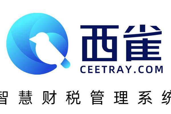智慧财税系统+精准管理，「西雀」让协同办公更简单