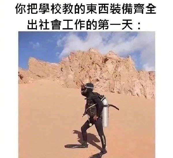 为什么读研越来越不划算