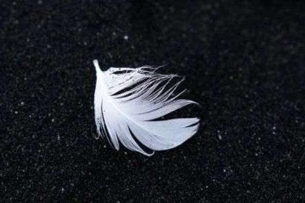 张凯磊发长信宣布学霸君“倒下”，理想的乌托邦终究没走进现实
