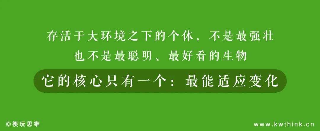 餐饮经营如何跨越2020直达2021？我们提出了四大主体和六大关键词