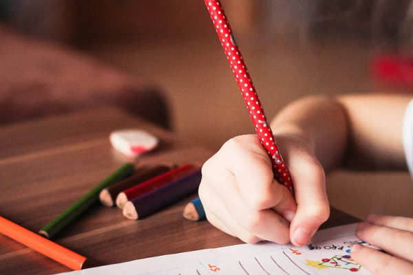 在线教育生死手