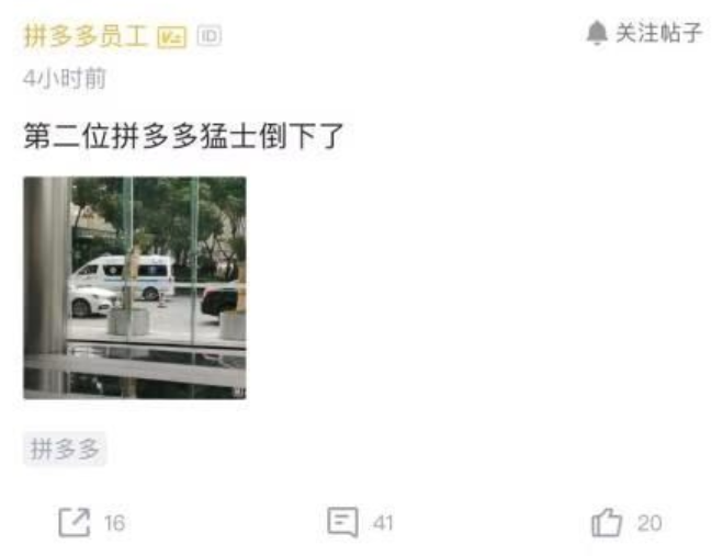 拼多多必须重新回答三个问题图3