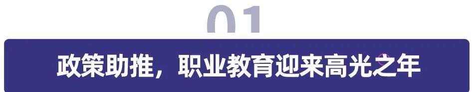 高光、白热、新机，职业教育的 2020 大棋局