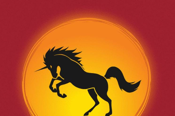 2020年印度11家新晋“独角兽”大盘点