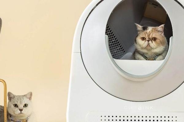 拥有全球3140多万条猫如厕数据，宠物智能设备「Catlink」围绕宠物健康拓展SKU