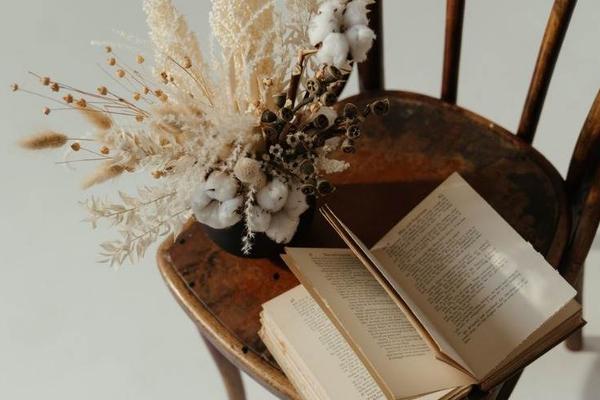 创投日报 | 「鲜生活」完成6亿元A轮融资；「启科量子」获5000万元天使轮融资；以及今天值得关注的早期项目