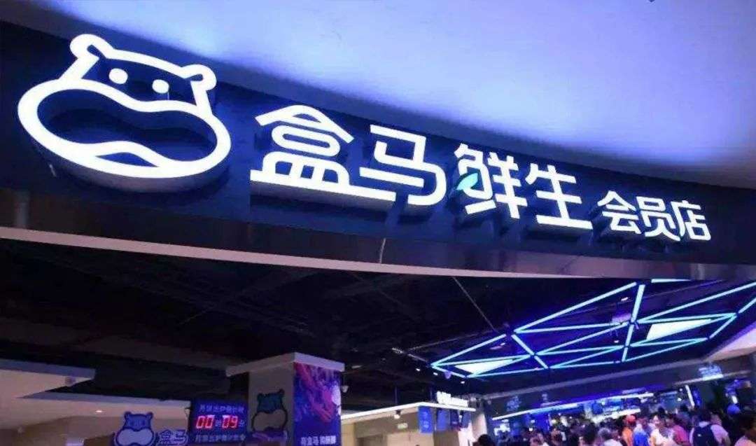 寒冬中迎来最大开店潮，“盒马们”迎来二次爆发？